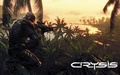 CRYSIS mobile app for free download