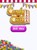 Candy crush: Saga mobile app for free download