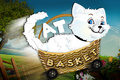 Cat Basket mobile app for free download