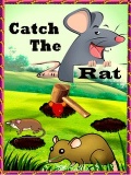 Catch The Rat mobile app for free download