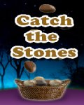 Catch the stone (176x220) mobile app for free download