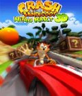 Crash Bandicoot3D mobile app for free download