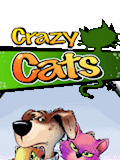 Crazy Cats 360x640 mobile app for free download