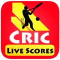 Cric Insta   Cricket live score mobile app for free download