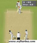 Cricket Fever   3D Game mobile app for free download