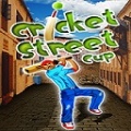 Cricket Street Cup_128x128 mobile app for free download