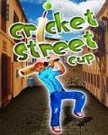 Cricket Street Cup_176x220 mobile app for free download