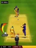 Cricket World Championship mobile app for free download