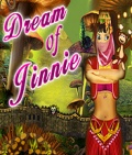 Dream Of Jinnie_176x208 mobile app for free download