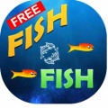 Fish O Fish mobile app for free download