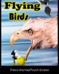 Flying Birds mobile app for free download