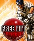 Free Hit Cricket 176x208 mobile app for free download