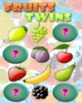 Fruits Twins mobile app for free download