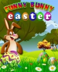 Funny Bunny Easter_176x220 mobile app for free download
