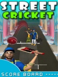 Gali Cricket mobile app for free download