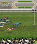 Greyhound Race Night mobile app for free download