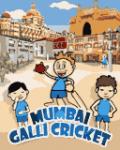 Indian Cricket mobile app for free download