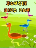 Jungle Bird Run mobile app for free download