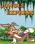 Jungle Express   Free Game mobile app for free download