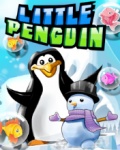 Little Penguin   Free Game mobile app for free download