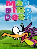 Mad Bird Dash mobile app for free download