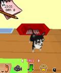 My Little Dogs 3D mobile app for free download