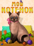 My cat mobile app for free download