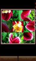 Nature Photo Puzzle mobile app for free download