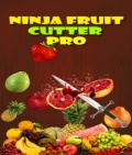 Ninja Fruit Cutter Pro mobile app for free download