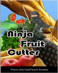 Ninja Fruit Cutter mobile app for free download
