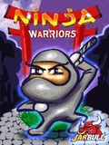 Ninja Warriors 176*208 mobile app for free download