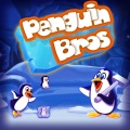 PenguinBros320X240(Nokia C3 00) mobile app for free download