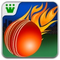 Power Cricket T20 mobile app for free download