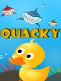 Quacky (240x320) mobile app for free download