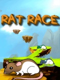 Rat Race (240x320) mobile app for free download
