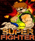 Super Fighter Free Game 176x208 mobile app for free download