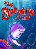 The Dolphin Stunt 240x320 mobile app for free download