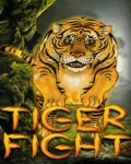 Tiger Fight (176x220) mobile app for free download