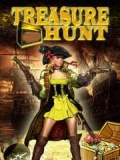 Treasure Hunt 240*400 mobile app for free download