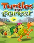 Turtles In Forest FREE mobile app for free download