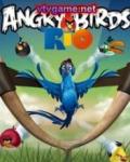 Game Angry Birds Rio mobile app for free download