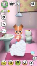 ! My Talking Lady Dog   Virtual Pet mobile app for free download