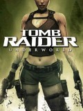 tomb raider underworld 240x320 mobile app for free download