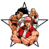 Fatal Fury Special 1.62 mobile app for free download