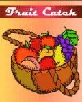 FruitCatch 160 mobile app for free download