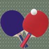Table Tennis Pro 2D And 3D 1.0 mobile app for free download