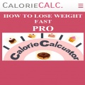 Calories Calculator mobile app for free download