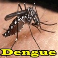 Dengue mobile app for free download
