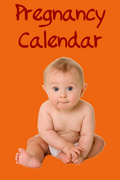 Pregnancy Calendar mobile app for free download
