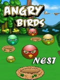 ANGRY BIRDS NEST mobile app for free download